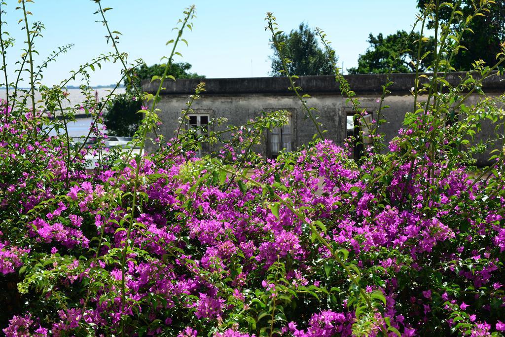 Posada Del Virrey โกโลเนีย เดล ซากราเมนโต ภายนอก รูปภาพ